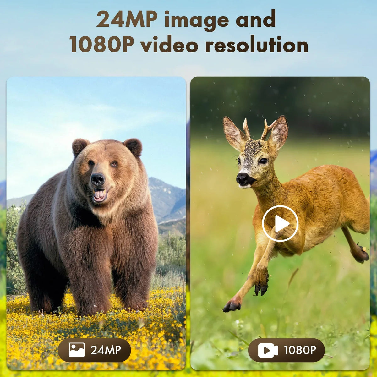 Rechargeable Hunting Card Night Camera CAMPARK IP66 Lithium 2.0" LCD 1080P Vision Cam 0.1s with 24MP Built-in SD Angle Speed Solar 2500mAh 120°Wide Trigger Game Battery Trail Camera Waterproof with