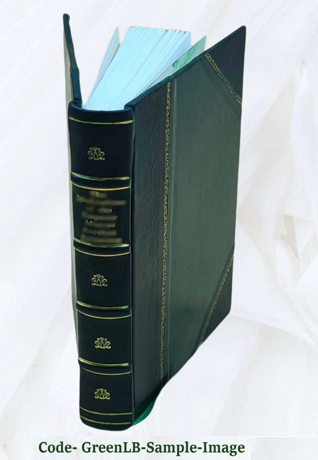 : & profligare deque facile religione, invadere ac utilitatem Turcas origine, viis, Christiani possent quas : immanissima liber per Christianos De ad in reipubl tyrannide eorum olim Turcarum principes