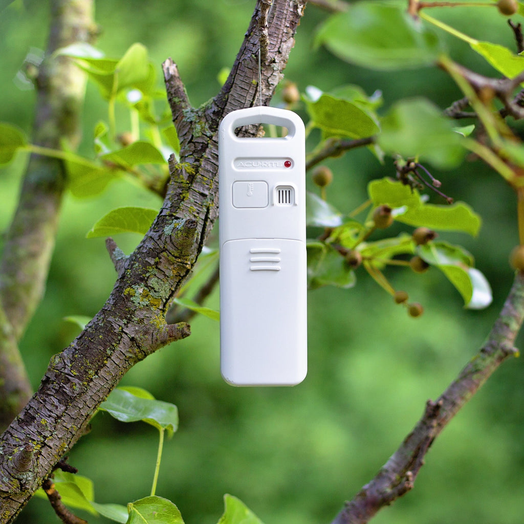Sensors Indoor/exterior (01096M) AcuRite & 3 Temperature Station with Humidity