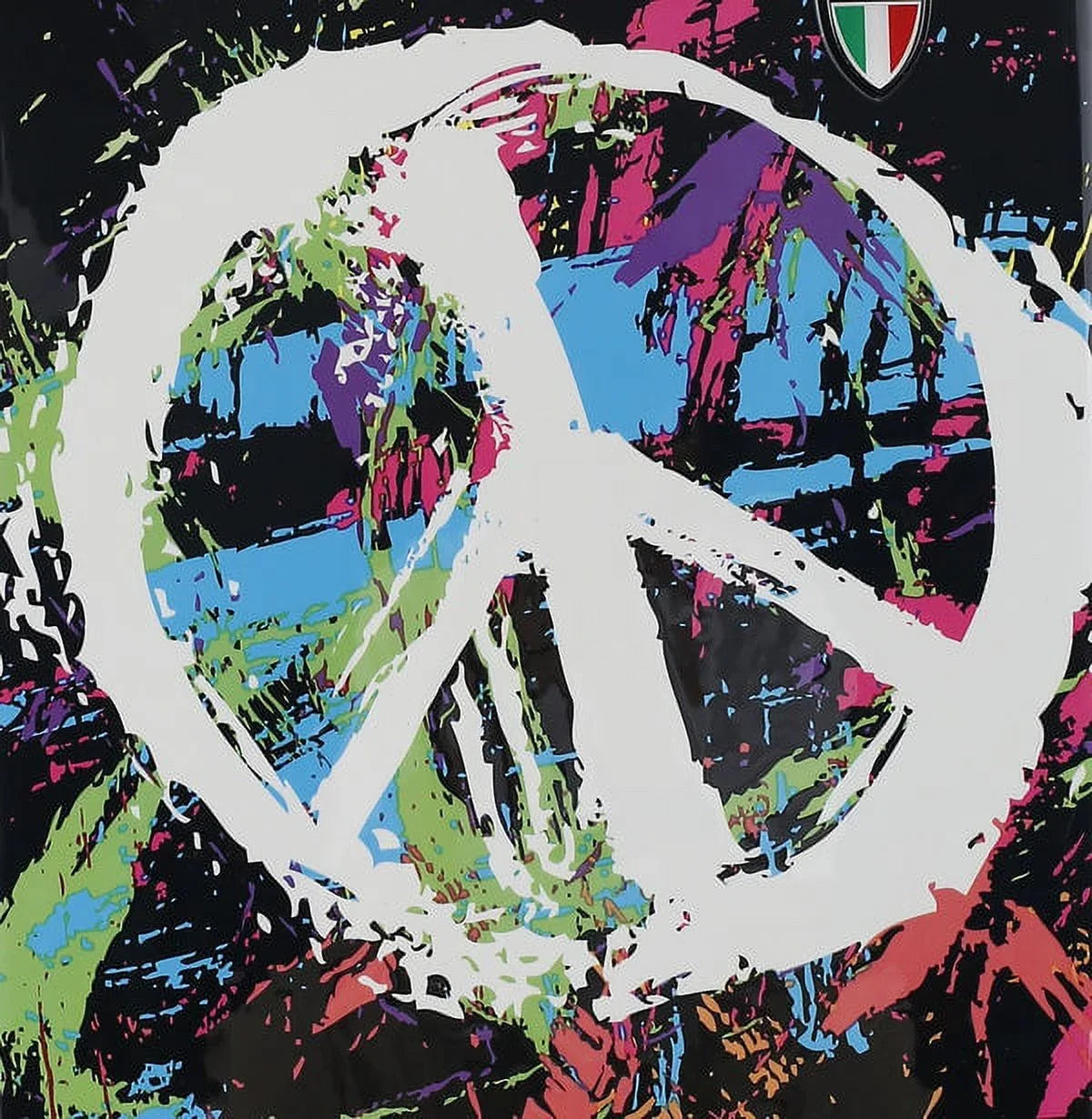 Italy TUCCI Art 24" Suitcase Luggage Spray Peace World In The