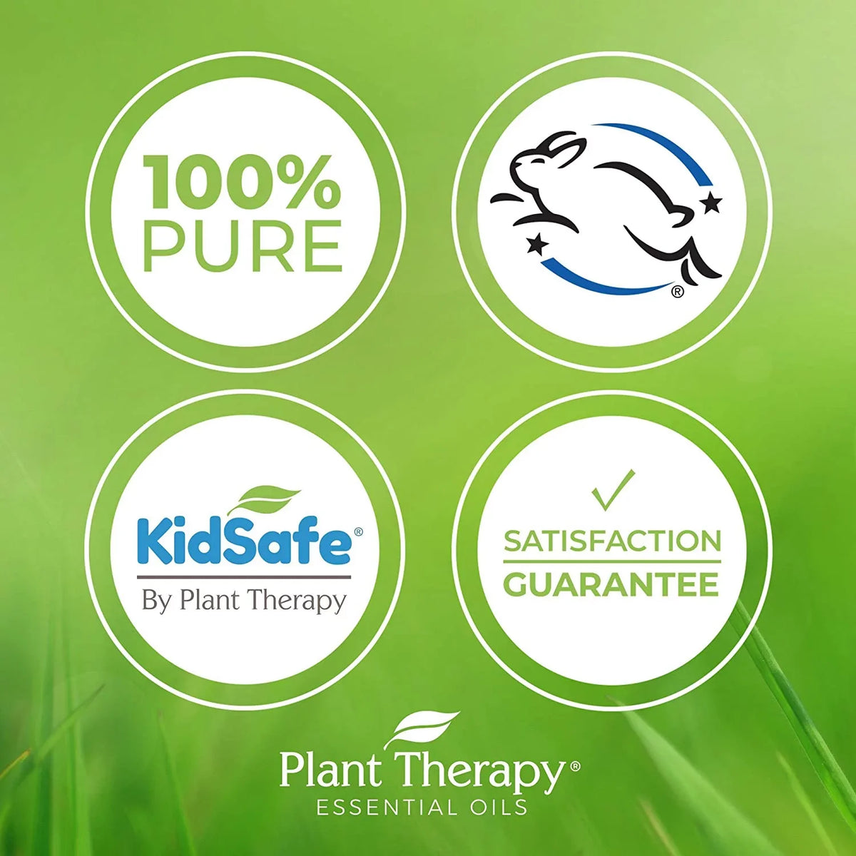 Pure, Essential (1 100% Oil Night Plant Natural Aromatherapy KidSafe oz) Nighty Blend for Undiluted, mL Sleep 30 Therapy
