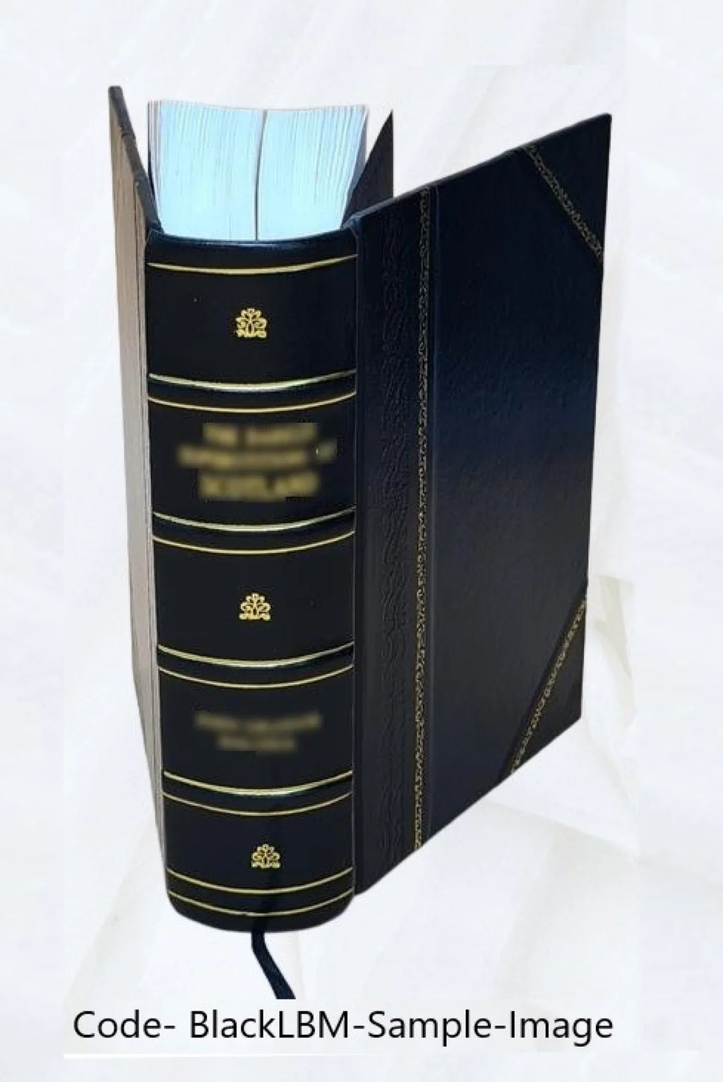 Vyavahaaramayuukha [Leather Bound] 1926