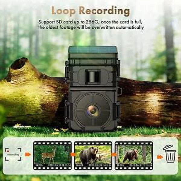 Solar IP66 Game Hunting Camera Rechargeable HD Vision Wildlife Trail 24MP Night